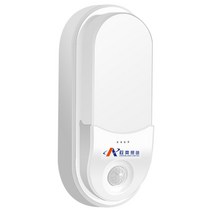 방폭등 보안등 led 문주등 투광등 오목한 경로 도로 방폭 계단 충전식 8W 12W 흰색 음성 인체 모션 센서 광전지 비상 벽 조명, [06] Human Emergency, [02] 12W
