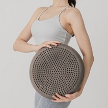 토구 다이나믹 에어쿠션 센소 33CM - 기능성방석 코어운동, 바이올렛그레이-펌프 포함