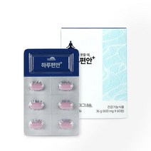 슬룸 하루편안 스트레스 긴장 완화 영양 제품 테아닌 마그네슘 비타민B6, 1개월분