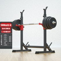 가정용 헬스장 벤치프레스 바벨 거치대 역기 홈짐 조절식 벤치 홈트 피트니스, 일체형 스쿼트 랙 +100kg 바벨