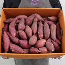 영암 토울고구마 세척고구마 황금 호박고구마 황토밭 꼼꼼선별, 토울고구마 5kg