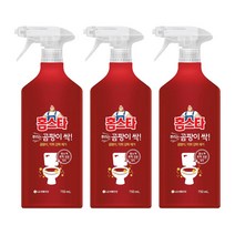 홈스타 뿌리는 곰팡이싹 스프레이 욕실 주방 청소 LG생활건강 750ml x 3개