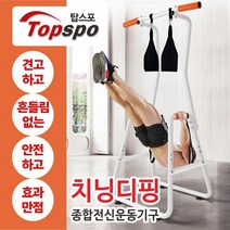 탑스포츠 치닝디핑 딥프레스 철봉 딥바 홈짐, 전문형치닝디핑화이트