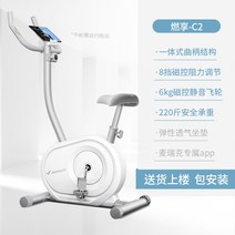 헬스 사이클 실내 자전거 미니 가정용 스피닝 메릭 스피닝 바이크 홈 엑서사이즈 바이크, 버닝엔조이 c2패키지 장착 8단 마그네틱 컨트롤
