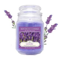 더허브샵 소이캔들 유리병 대형 567g 라벤더, 1개