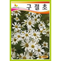 다년생꽃씨 씨앗] 구절초 1000립