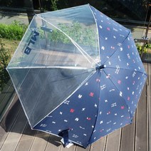 KC인증 사은품증정 데이지 유아투명우산 친환경소재 안전 창 돔형 아동 어린이우산