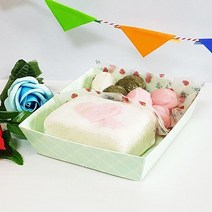 같은공간-PC07 샌드정사각(체크민트)2세트 10P 도시락 도시락용기 일회용도시락 단체도시락통 포장용기-SS, 본상품, 본상품