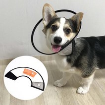 댕댕이 고양이 탈부착 넥카라 모음 UFO넥카라 가성비, 1개, 7호