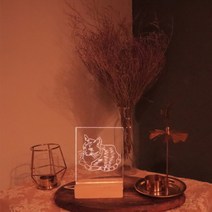 [바보사랑] 동물 아크릴 무드등 만들기 패키지 DIY, 상세 설명 참조