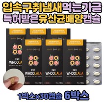 입냄새 찌꺼기 양치대신 씹어먹는 구강청결제 민트향 6박스 입안 양치후 입안 마스크 냄새 제거 먹는 향수 PTP 위생 포장 복숭아 민트 박하 유 1회용 캡슐 가글, 3g