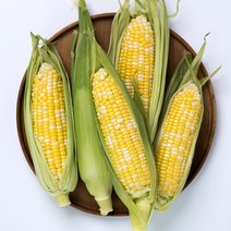 쫀득하고 맛있는 괴산대학 찰옥수수 10개입, 10개