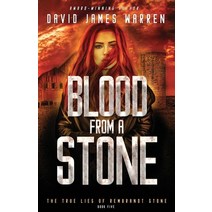 (영문도서) Blood from a Stone: A Time Travel Thriller Paperback, Tristone Media, English, 9781954023093