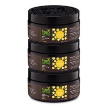 Fresh Wave 프레쉬 웨이브 젤타입 차량용 실내 방향제 탈취제 레몬 화장실 주방 다용도 냄새 제거 198g 3개