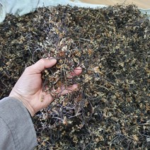제주고사리 보름나물 자연산 햇고사리 건고사리 햇 건 말린 고사리300g 600g, 제주 햇 건고사리300g