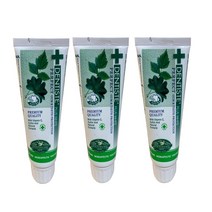 덴티스테 플러스 화이트 치약 튜브형, 60g, 3개