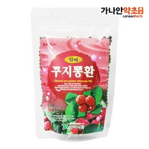 가나안약초 단비식품 구지뽕환, 300g, 2개