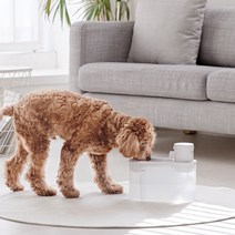 반려동물 강아지 고양이 분수 정수기 워터펫 무선 살균 정수기 자동급수 음수기 물그릇 2L 애견 애묘 물통, 본품(워터펫)+3중 여과 필터 1개