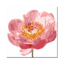 모모페인팅 DIY명화그리기 40x40cm 핑크 모란 한송이 물감2배