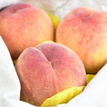 [다정한] 의성 딱딱이 복숭아 4kg 특대 9-12과, 단품