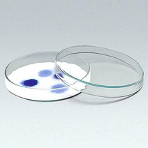 샬레-4569, ∮120mm