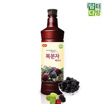 광야 복분자 베이스 970ml, 박가네마켓 쿠팡 1, 1