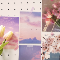 그림엽서 핑크톤 감성사진 인테리어 빈티지 여행엽서