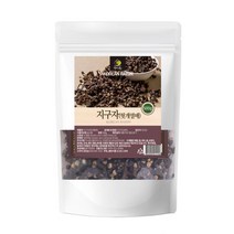 웰빙 국산 지구자 헛개열매 500g 건강차 보양 선물 가족건강 건강식품 영양