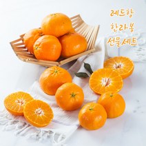 [당일수확배송] 프리미엄 선물세트 레드향 한라봉 2kg 3kg 5kg, 선물용 가방