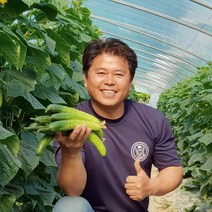 양주농부 오이 특품 클로렐라 백다다기 백오이 1kg-18kg (5개-100개), 1box, 클로렐라 오이 18kg (100개-110개)