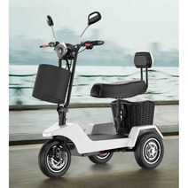 전동 스쿠터 삼륜 세발 어르신 삼륜차 시골 성인용, 36V 배터리 12A -단일시트 약 30km