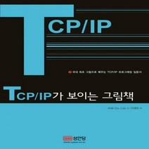 TCP/IP가 보이는 그림책:국내 최초 그림으로 배우는 TCP/IP 프로그래밍 입문서, 성안당