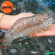 [ 2022년 흰다리새우] 국내산 왕새우 1kg 급냉 대하, 1box, 흰다리새우(급냉) 500g