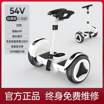 두발 전동휠 대리 운전 10인치 전기 투휠, 화이트 충격 흡수 클래식 휠, 54v