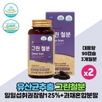 철분 영양제 비헴철 비햄철 철분제 Green Iron 임산부 수유부 여성 남성 임신준비 어린이 청소년 성장기 철분섭취 애플트리김약사네 그린 철분 건강기능식품, 90캡슐 x 2개