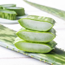 푸드앳홈 껍질째 먹는 유기농 알로에 생잎 1kg 사포나리아, 1box