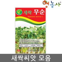 새싹 씨앗 모음 수경재배 식물키우기 홈가드닝, 새싹청경채