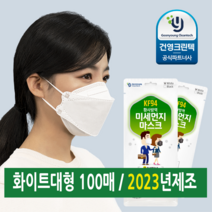 2023년 제조 건영크린텍 데일리365 KF94 화이트대형 100매, 대형 흰색 100매