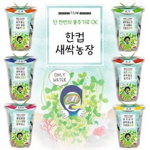 한컵새싹농장 씨앗키우기 6종 / 모종키우기 체험학습재료 원예체험 꽃, 밀싹