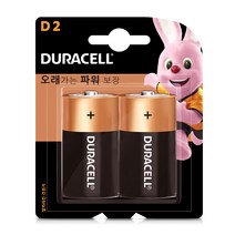듀라셀 알카라인 D형 건전지