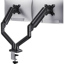 헤미션 ARM-002 고중량 듀얼