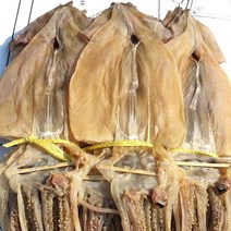 동해안 건오징어 1.0kg, 1kg