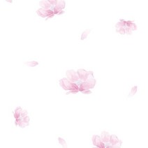 시트나라 포인트시트지(고광택), 플로리핑크 (PH-106)
