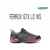 페록스 GTX LO WS