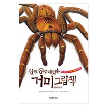 부즈펌 진짜 재밌는 거미