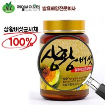 제일바이오텍 상황버섯균사체100% 분말 250g, 1병, 1개