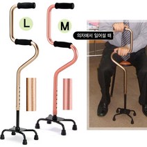 엠케이 일어서기서포터 지팡이, 1개, 사이즈 L(브라운)
