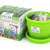 [골든펫] 캣글라스 재배세트 (화분), 단일옵, 본상품선택