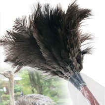 기타 고급 타조털 먼지털이개, 1개