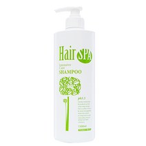 가인화장품 하켄 헤어스파 인텐시브 케어 샴푸, 1개, 1500ml